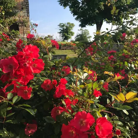 Madonna Della Corte Reggio Emilia