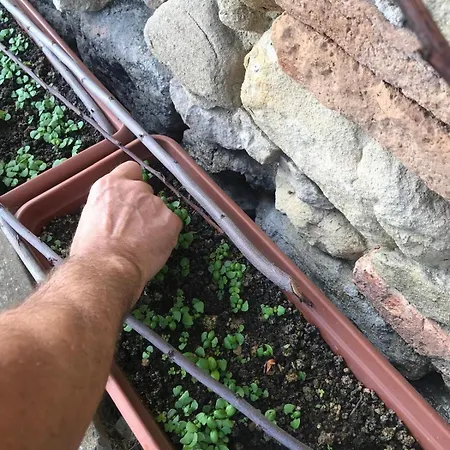 Madonna Della Corte Feriegård Reggio Emilia