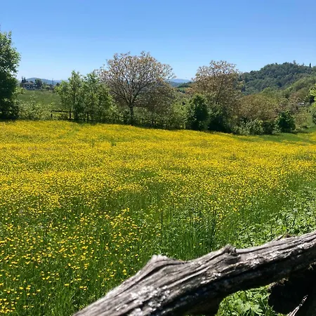 Madonna Della Corte Farm stay Reggio Emilia