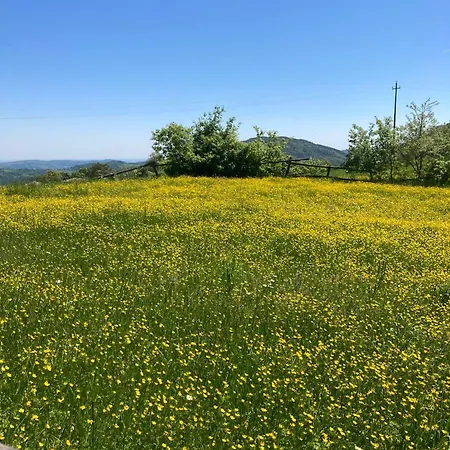 Farm stay Madonna Della Corte