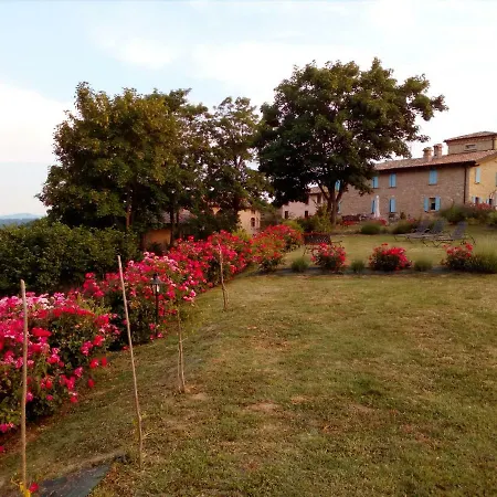 Madonna Della Corte * Reggio Emilia